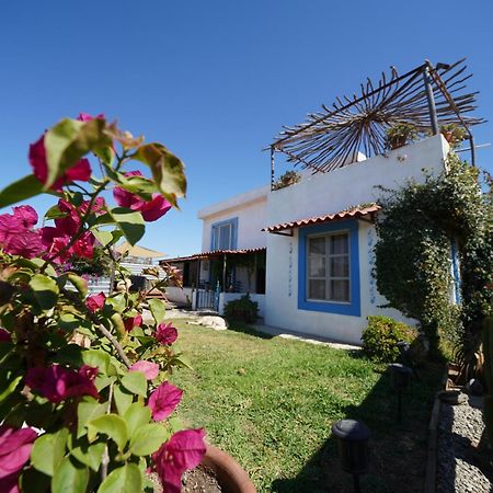 Santerra, Valle De Guadalupe Valle de Guadalupe Exterior foto