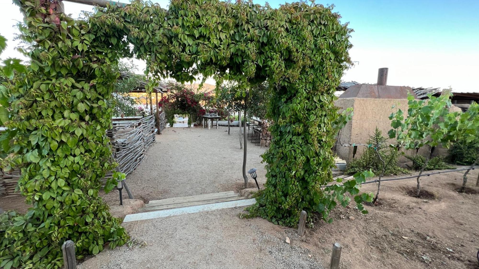 Santerra, Valle De Guadalupe Valle de Guadalupe Exterior foto