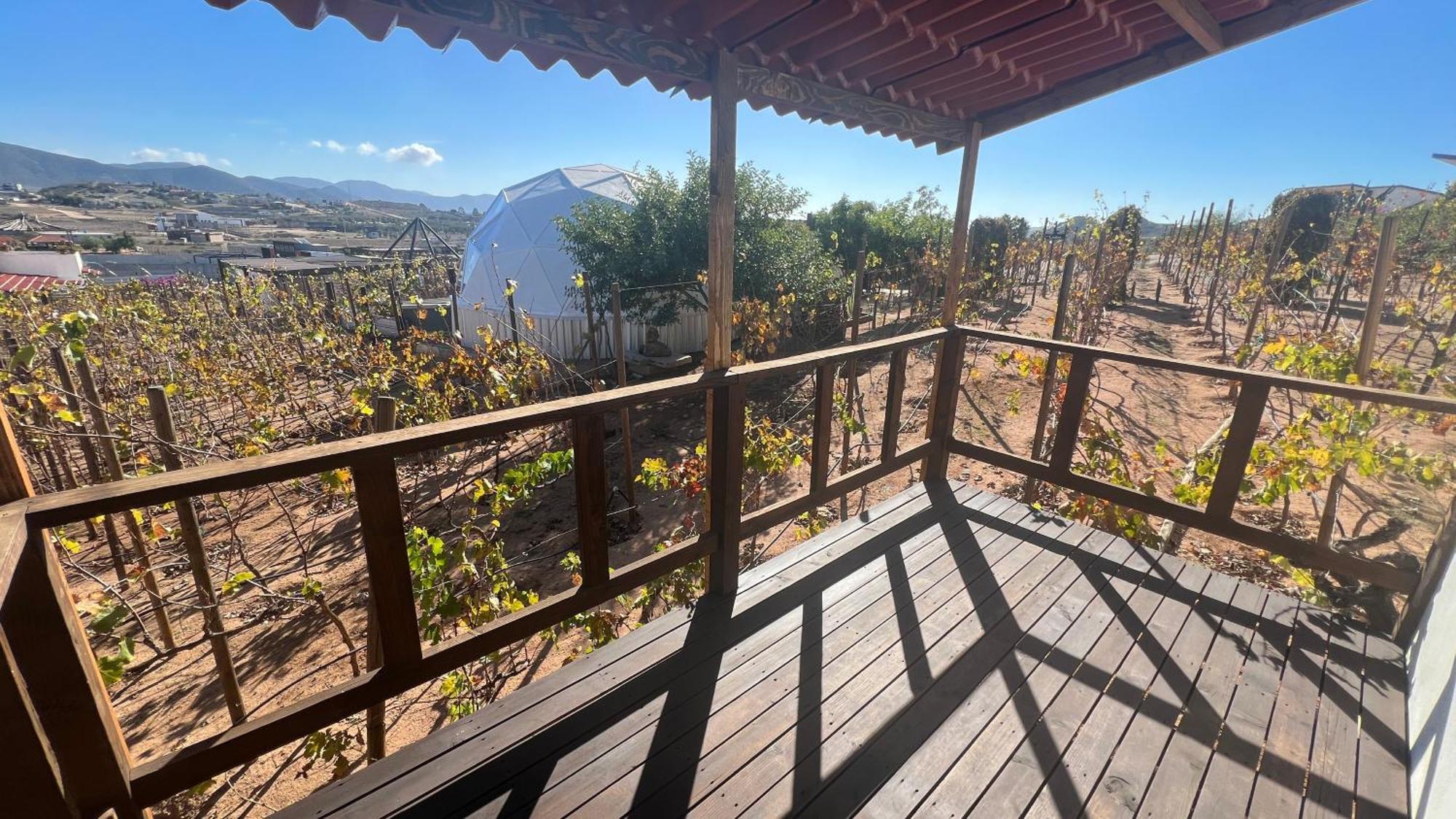 Santerra, Valle De Guadalupe Valle de Guadalupe Exterior foto