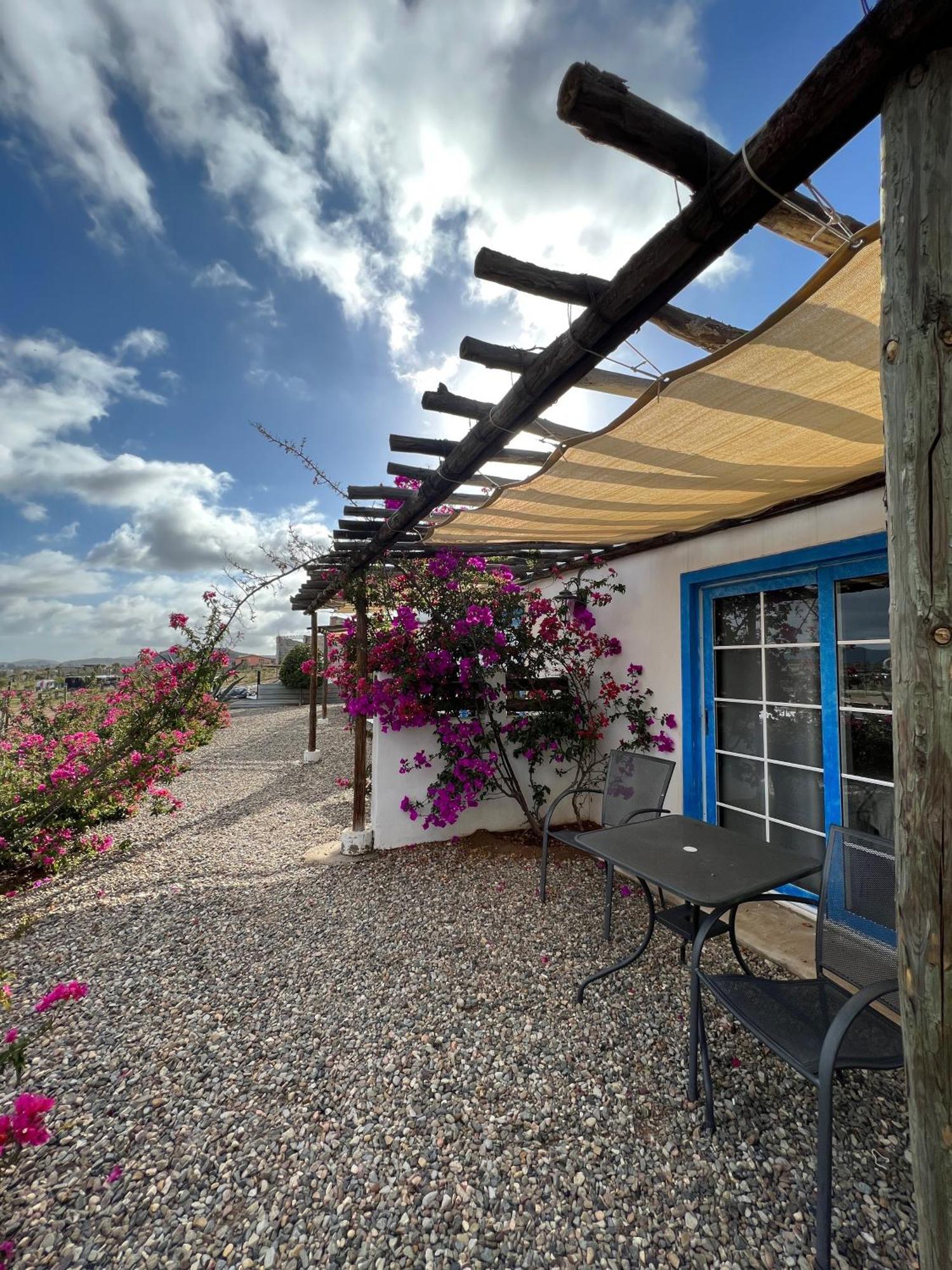 Santerra, Valle De Guadalupe Valle de Guadalupe Exterior foto