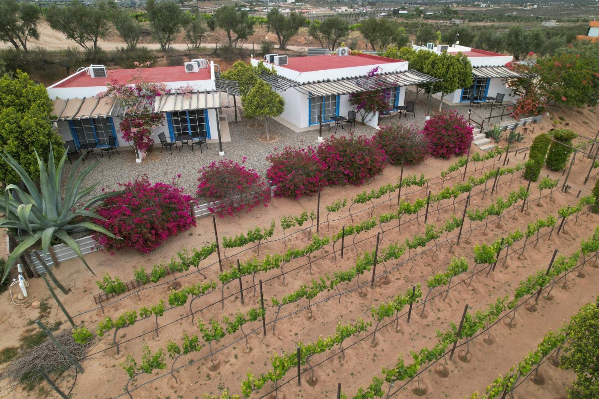 Santerra, Valle De Guadalupe Valle de Guadalupe Exterior foto