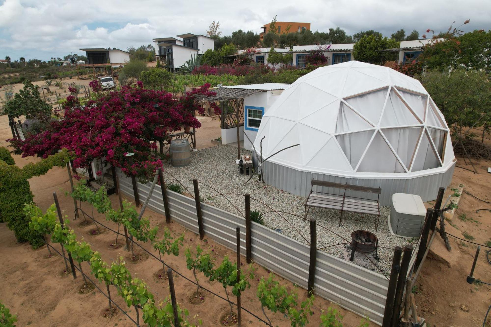 Santerra, Valle De Guadalupe Valle de Guadalupe Exterior foto